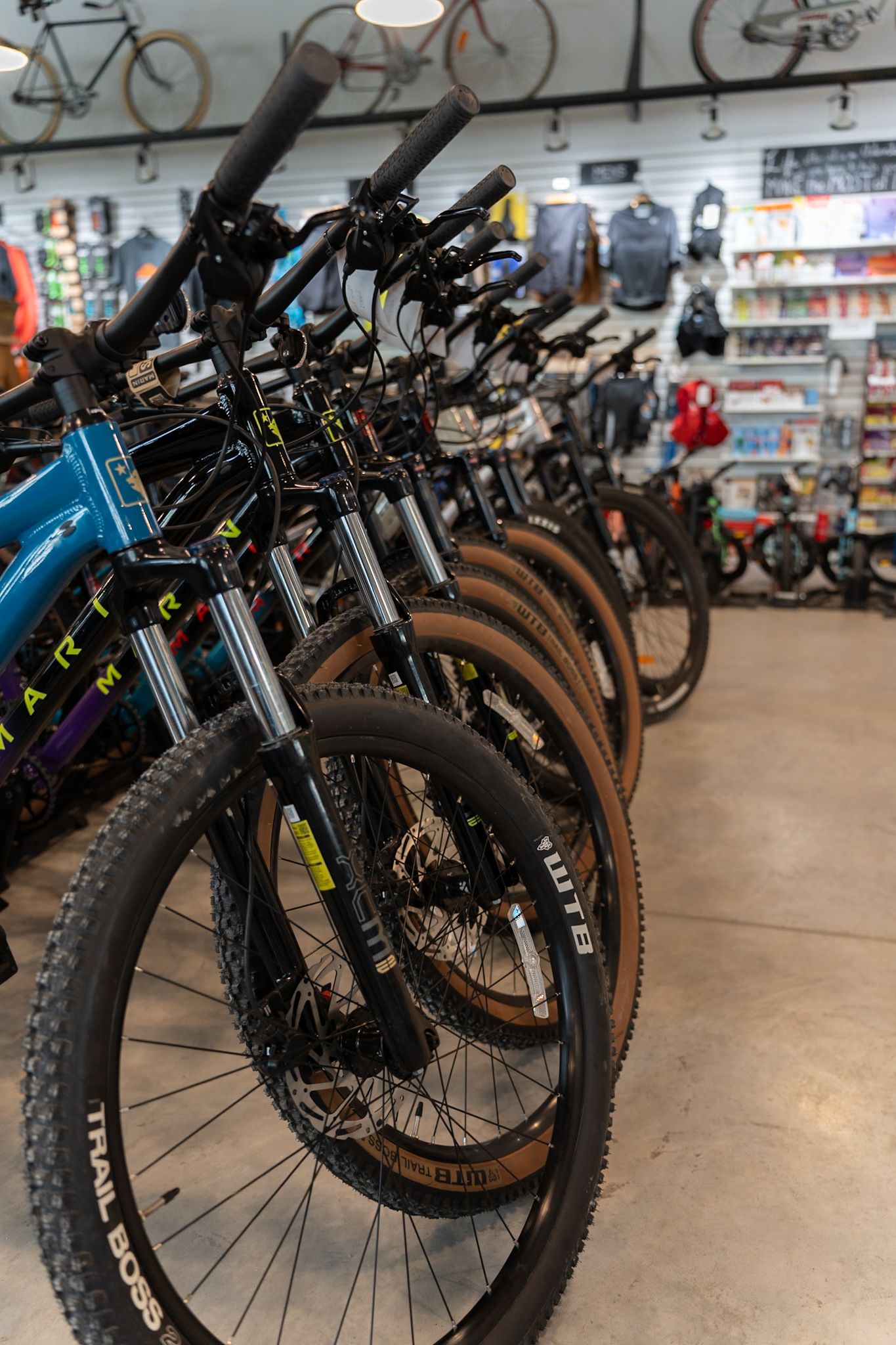 Row of mountain bikes on display in a bike shop showing front wheels and handlebars.