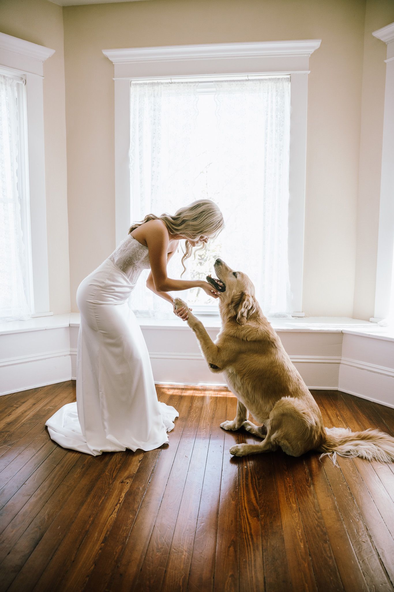 Bride in white gown sharing a sweet moment with a golden retriever standing on hind legs in a sunlit room.