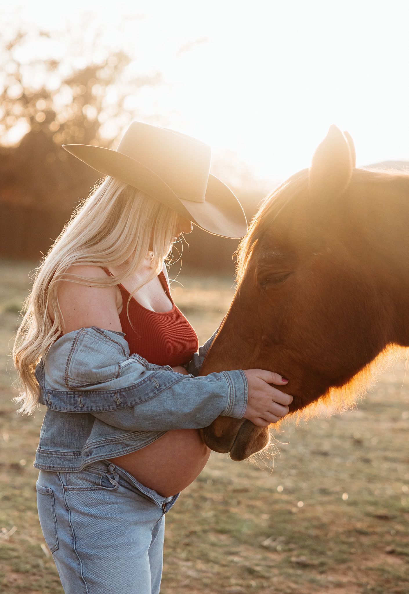 Tender moment between person and horse backlit by golden sunset.