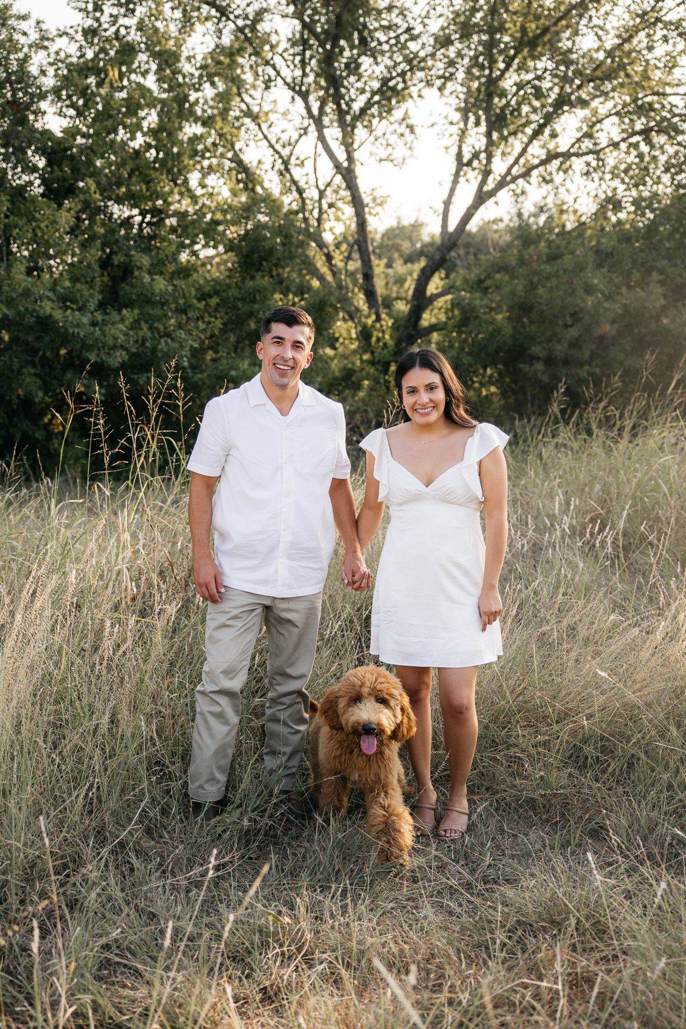 A couple in white outfits poses with their brown goldendoodle dog in a tall grass field at sunset.