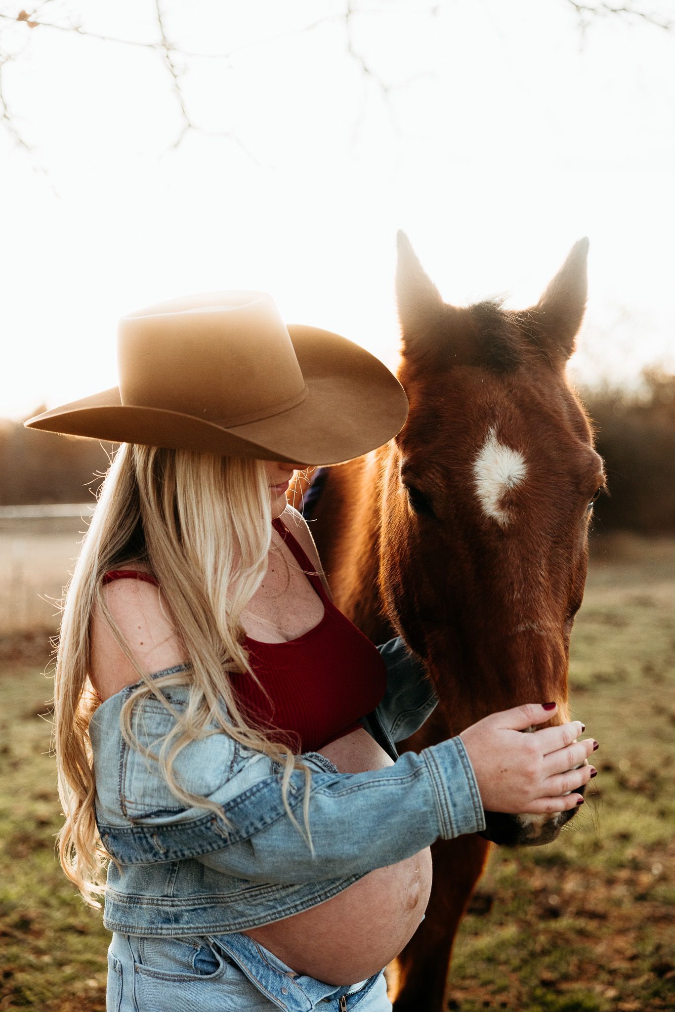 Person in denim jacket petting brown horse in sunlit field.