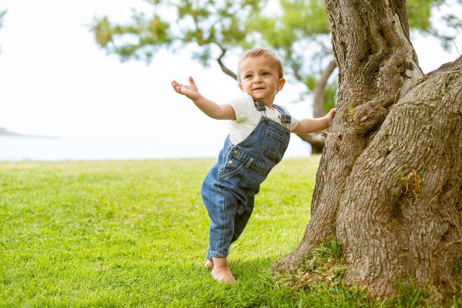 A child in denim overalls plays near a large tree trunk on a grassy hill in a series of connected action shots.
