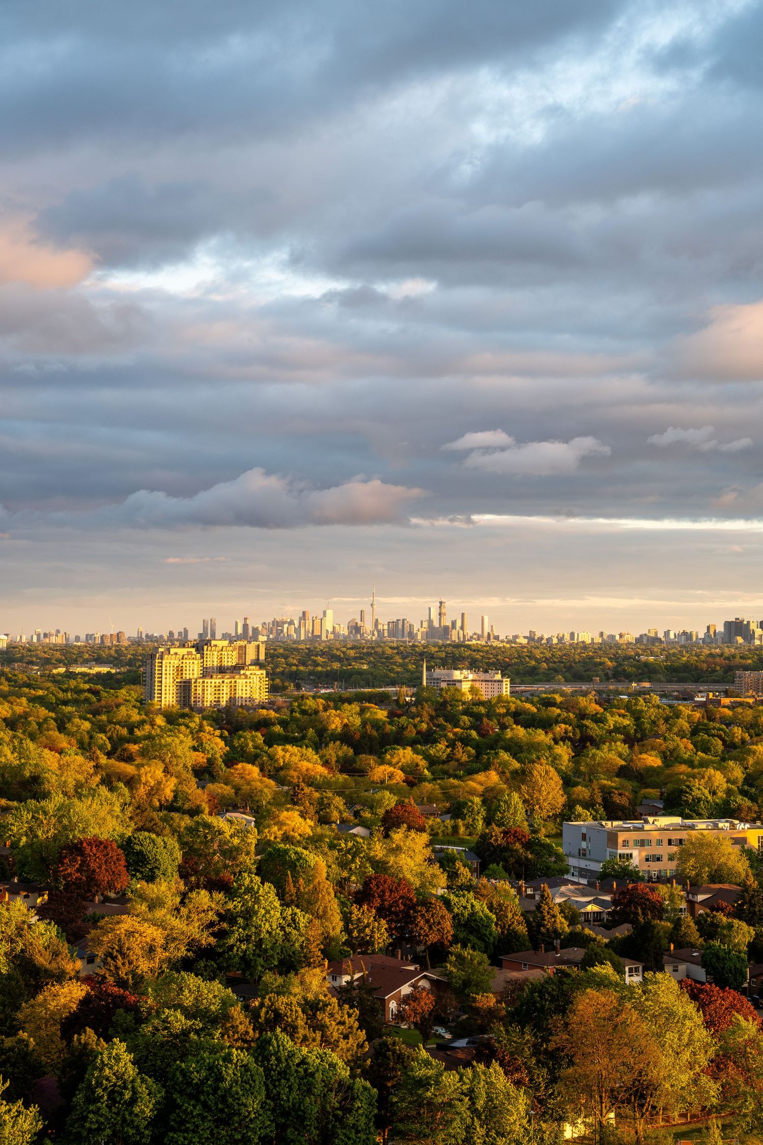 Peaceful landscapes and nature scenes showcasing seasonal colors, serene settings, and beautiful city skylines.
