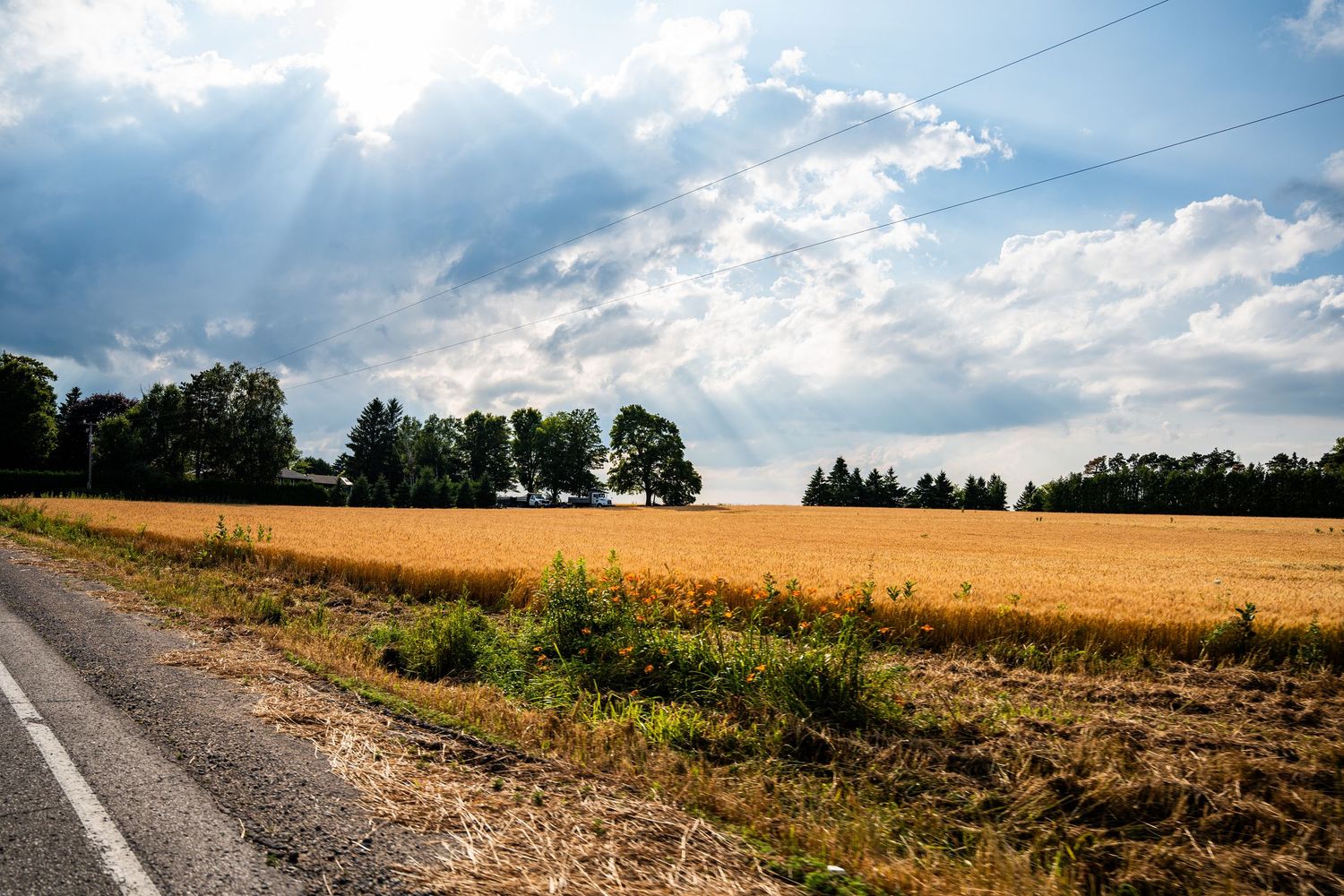 Peaceful landscapes and nature scenes showcasing seasonal colors, serene settings, and beautiful city skylines.