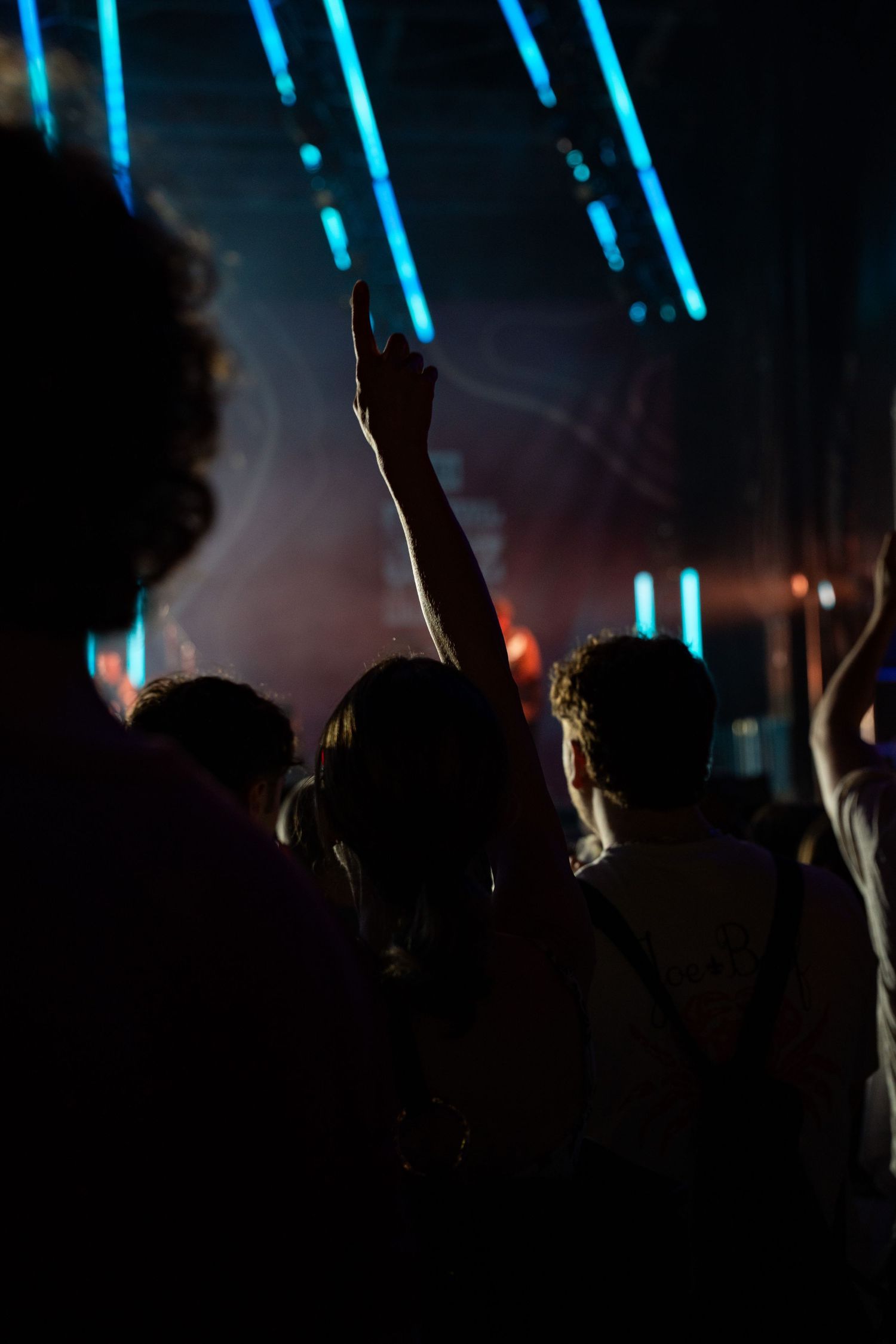 Dynamic festival scenes capturing real energy, laughter, and authentic moments in Toronto’s vibrant events.