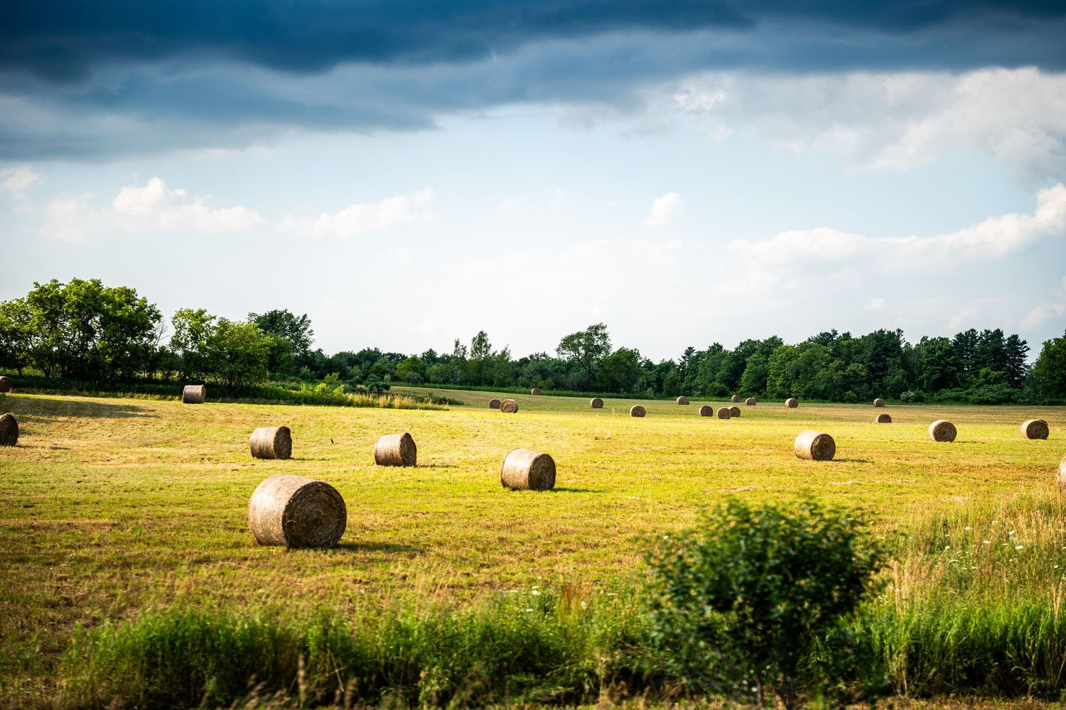 Peaceful landscapes and nature scenes showcasing seasonal colors, serene settings, and beautiful city skylines.