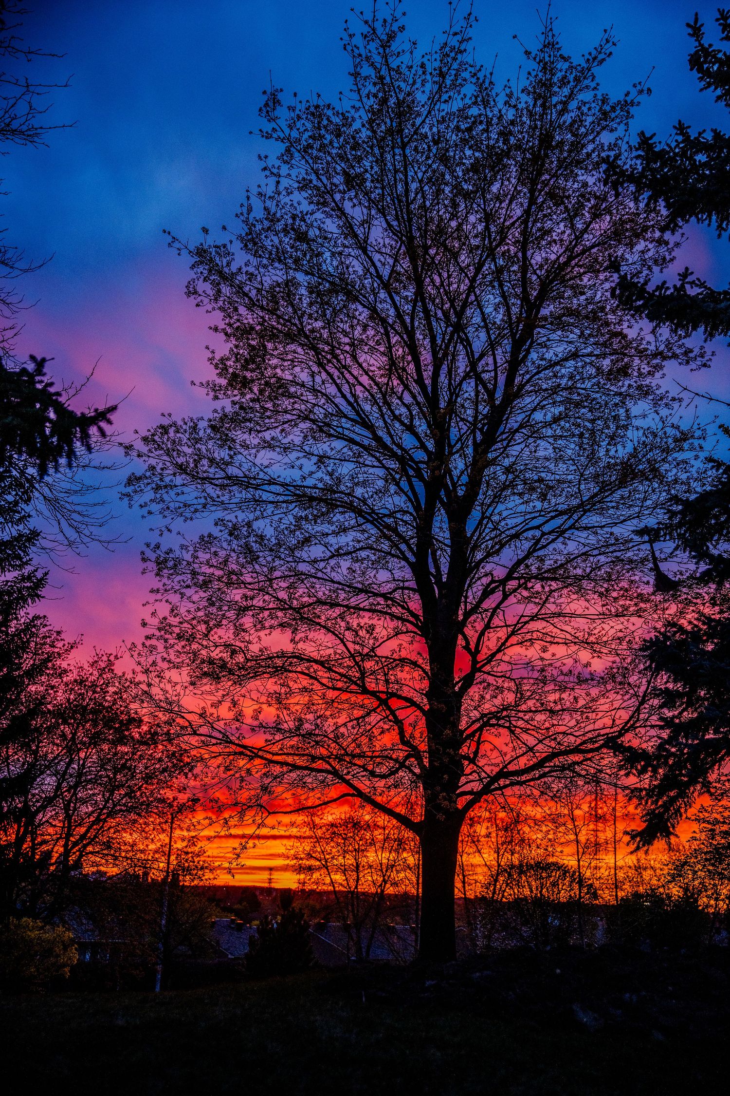 Peaceful landscapes and nature scenes showcasing seasonal colors, serene settings, and beautiful city skylines.