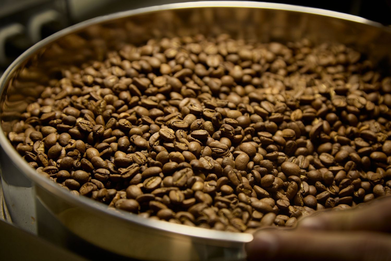 Fresh roasted coffee beans in various metal containers showing different stages of the roasting process.
