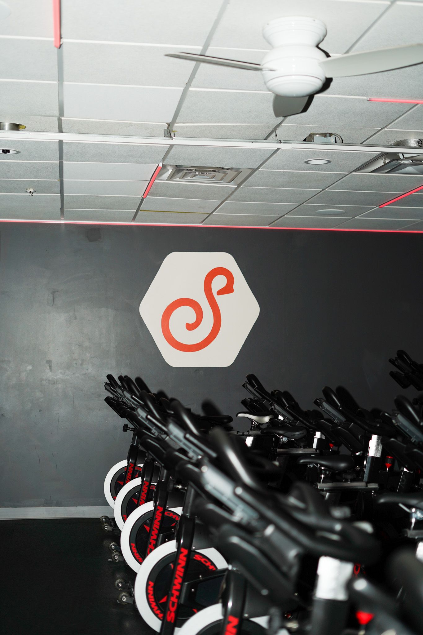 Professional Oklahoma brand photography for health, wellness, and fitness brands. Crisp, vibrant images for marketing and social media.