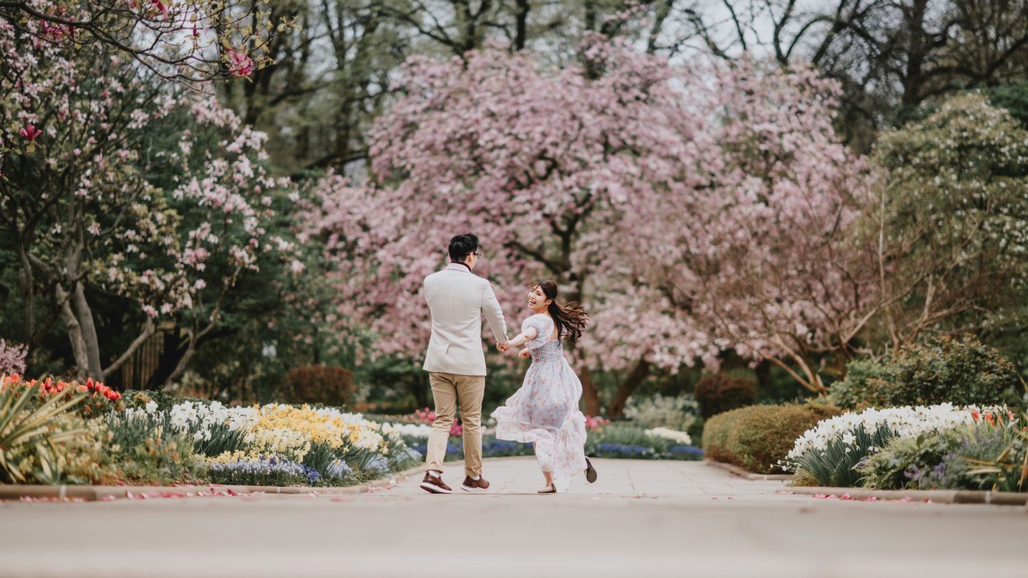 Cherry blossom trees in full bloom creating a romantic spring backdrop.