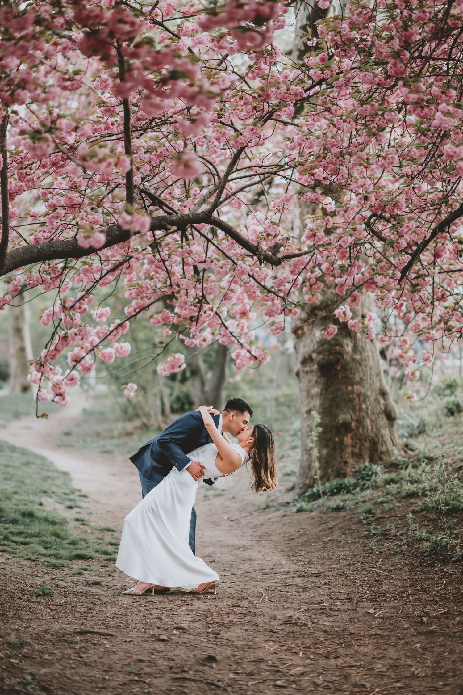 Cherry blossoms frame a romantic moment under blooming spring trees.