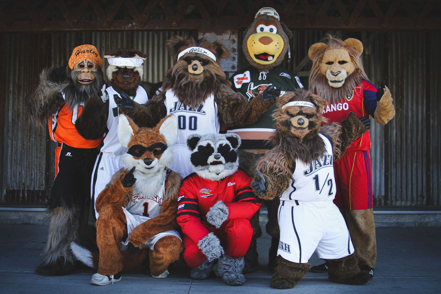 Mascots Becker Schools, Photographer, High School seniors. action photos.