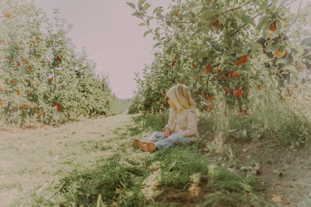 Stefan Desaeyere Fotografie