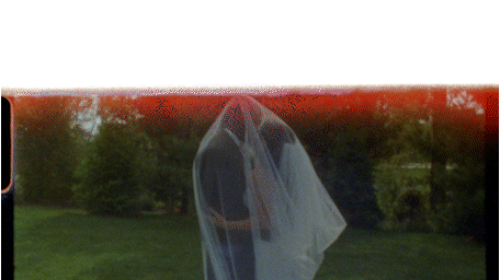 A bride and groom share a romantic kiss under a wedding veil outdoors, framed by lush green trees.