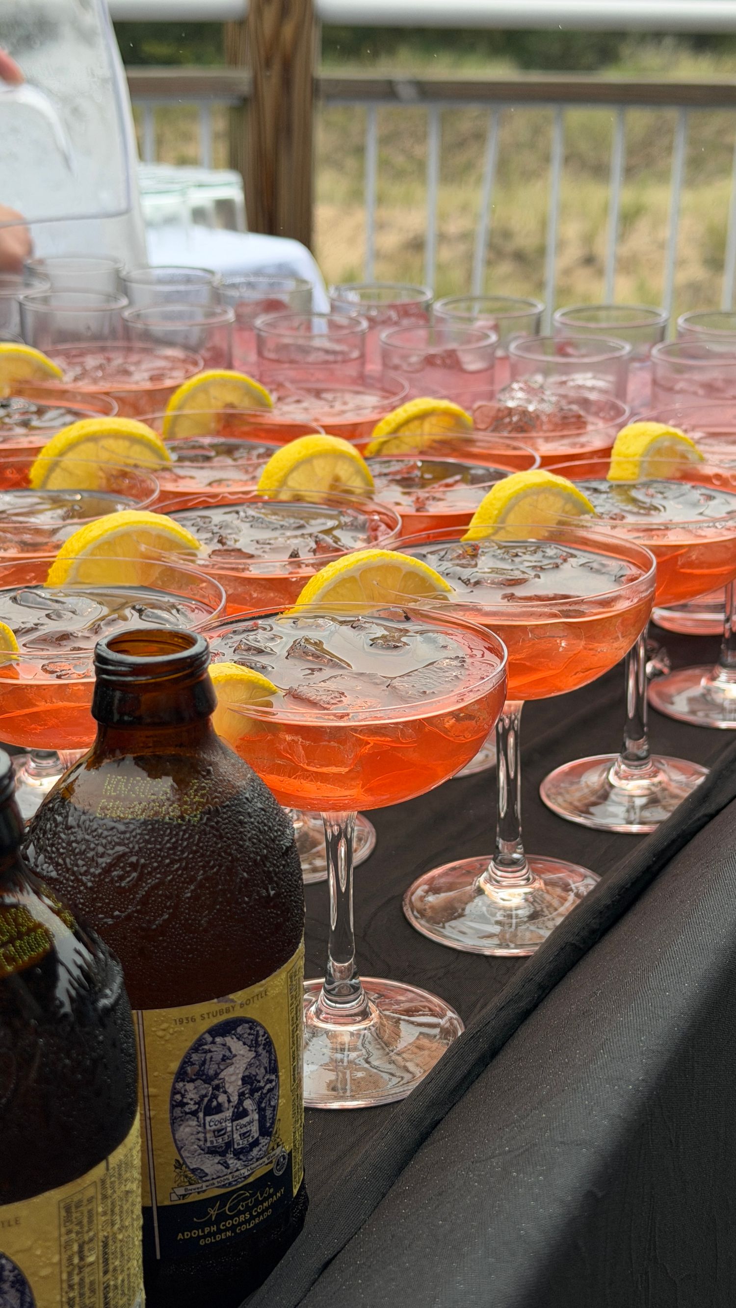 Rows of pink cocktails garnished with lemon slices in coupe glasses on a bar, with a beer bottle in the foreground.