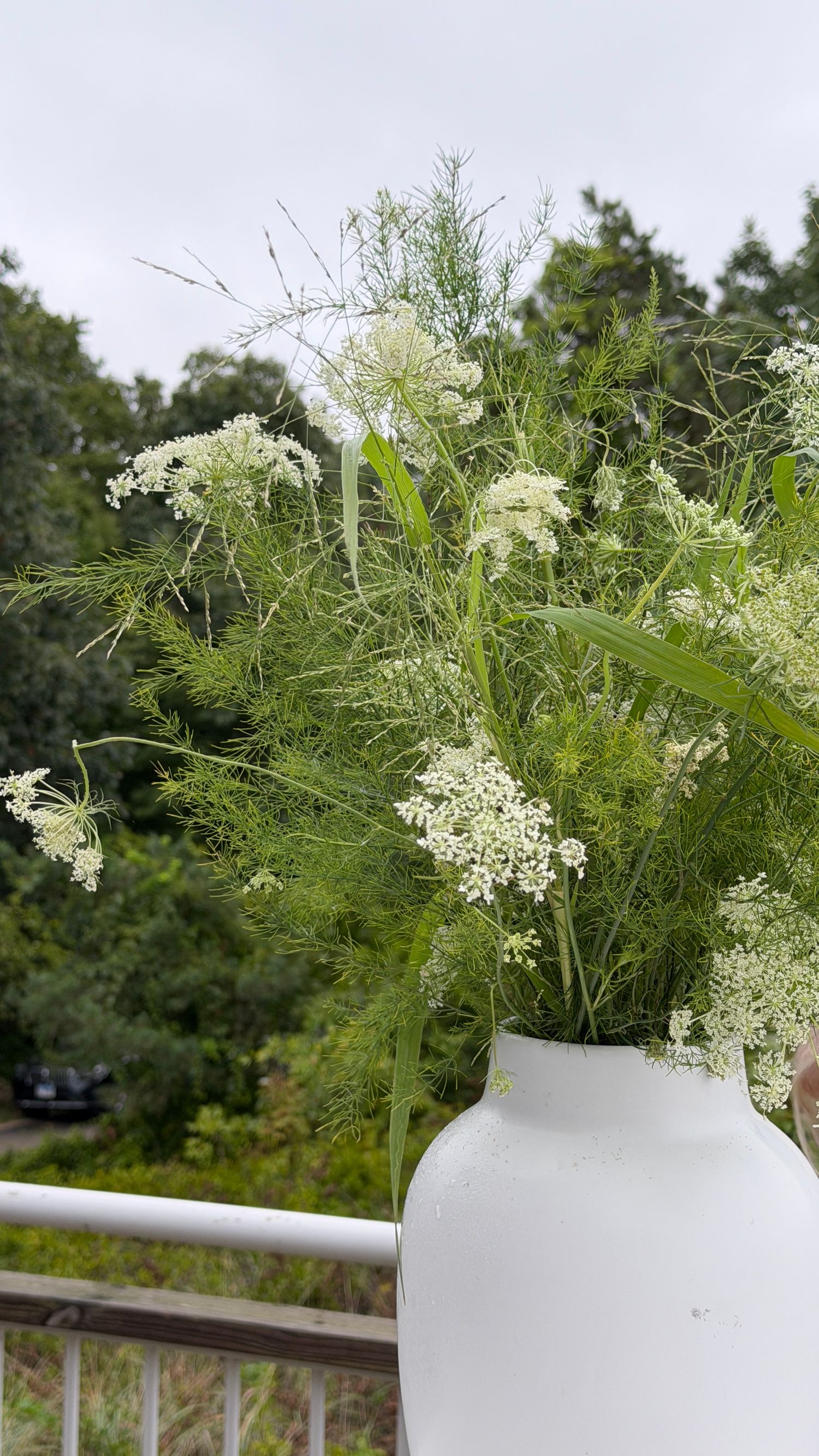 White vase with Queen Anne's lace and fennel fronds on a balcony railing, lush green trees in the background.