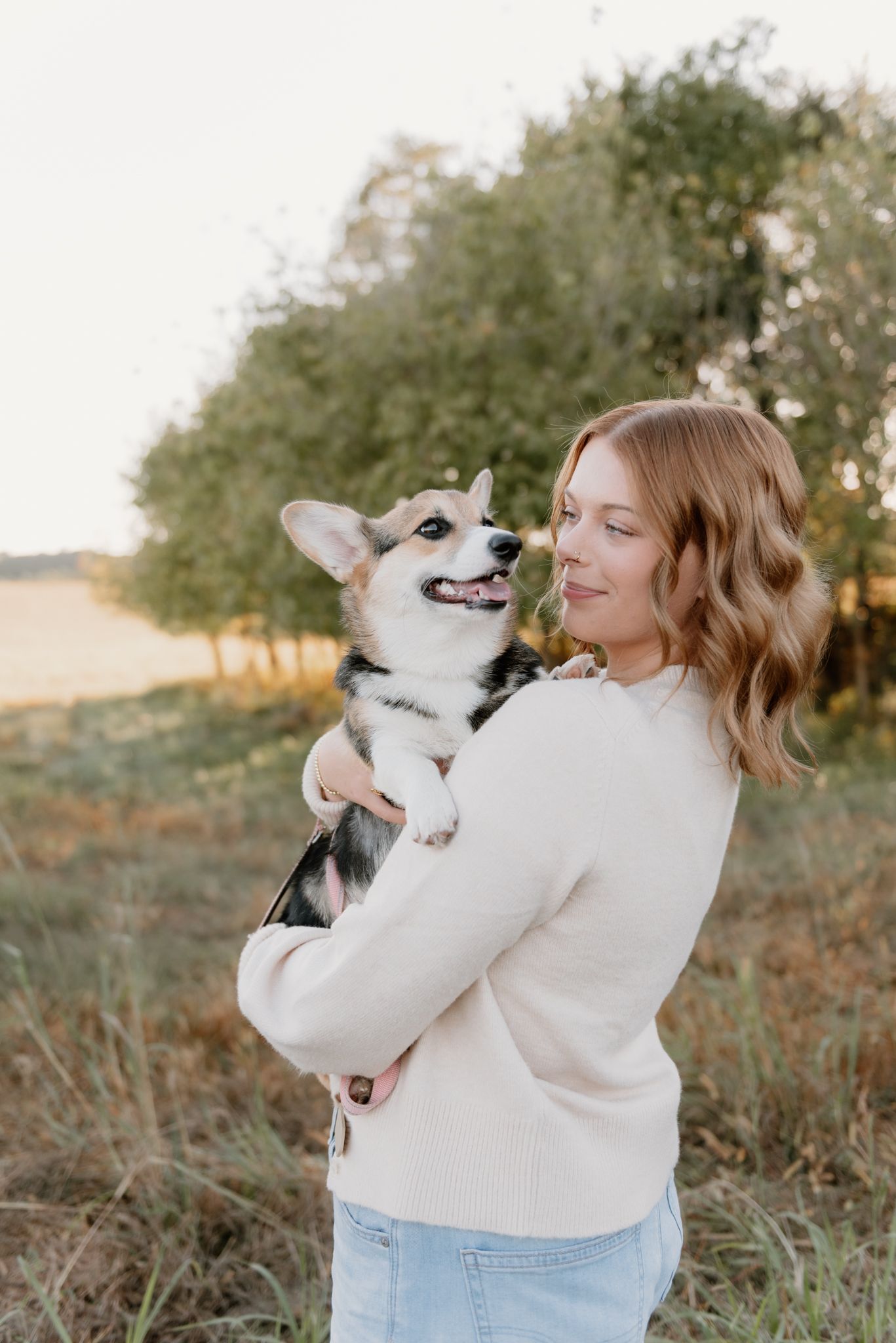 A person in a cream sweater and jeans plays with a happy black and white dog in an outdoor setting at sunset.