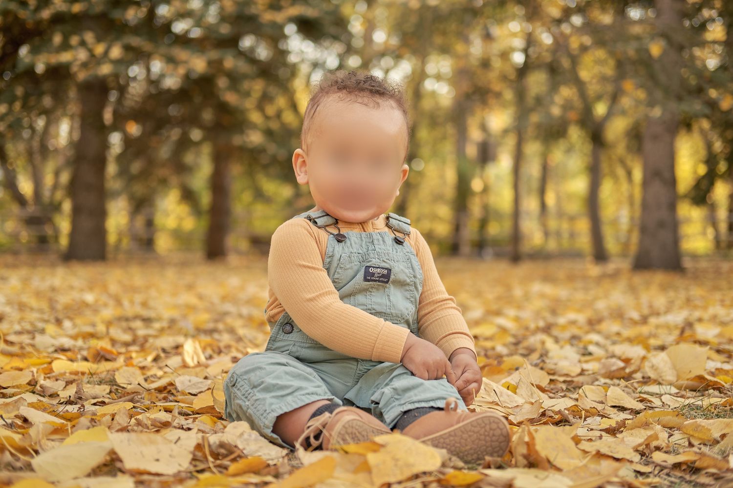 A baby in denim overalls sits among fallen autumn leaves while playing in a wooded area during golden hour.