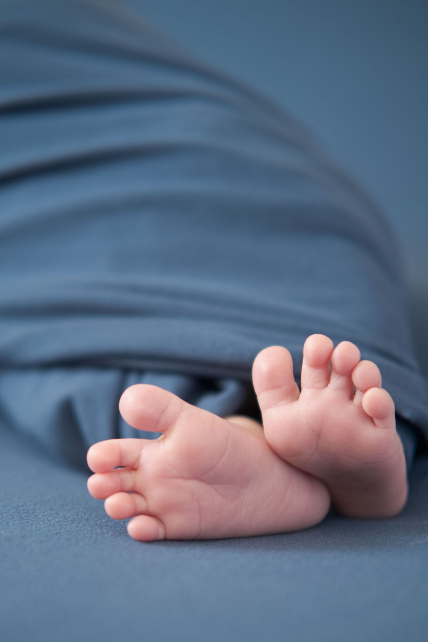 A series of tiny baby feet on blue fabric shown in progression from blurry to clear focus.
