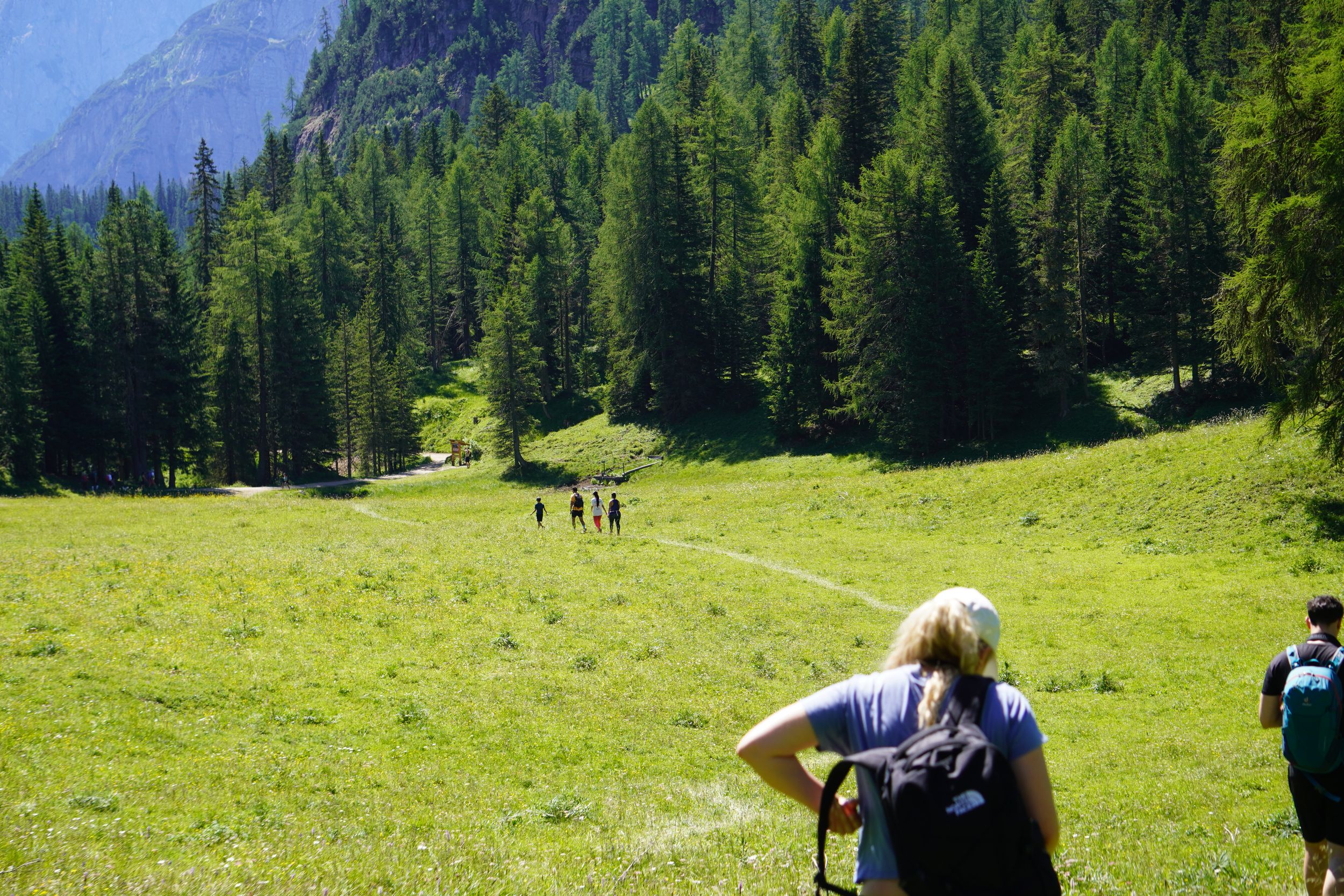 Gruppo di escursionisti in un prato montano