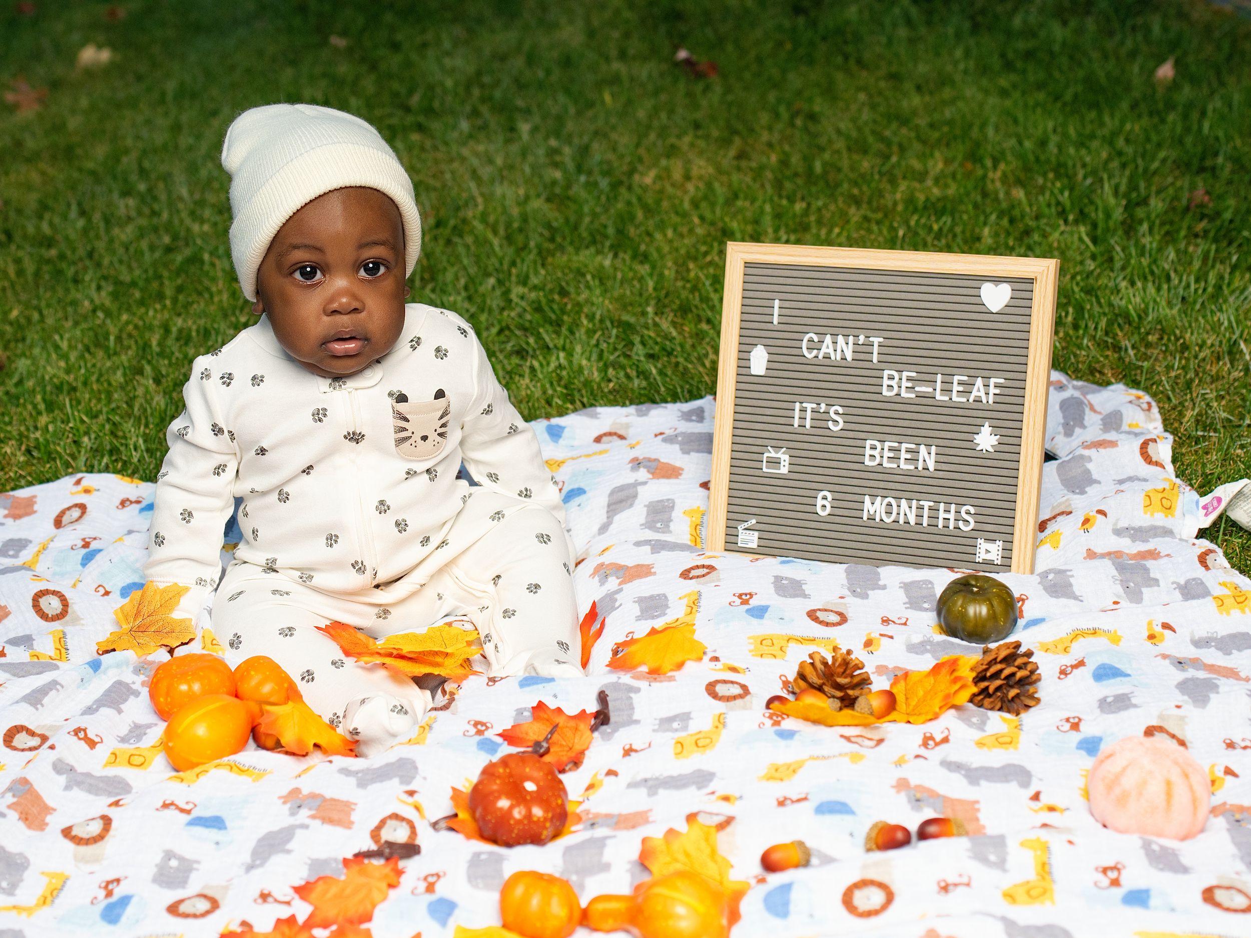 A baby in a knit hat sitting on a blanket with small pumpkins and a six-month letter board