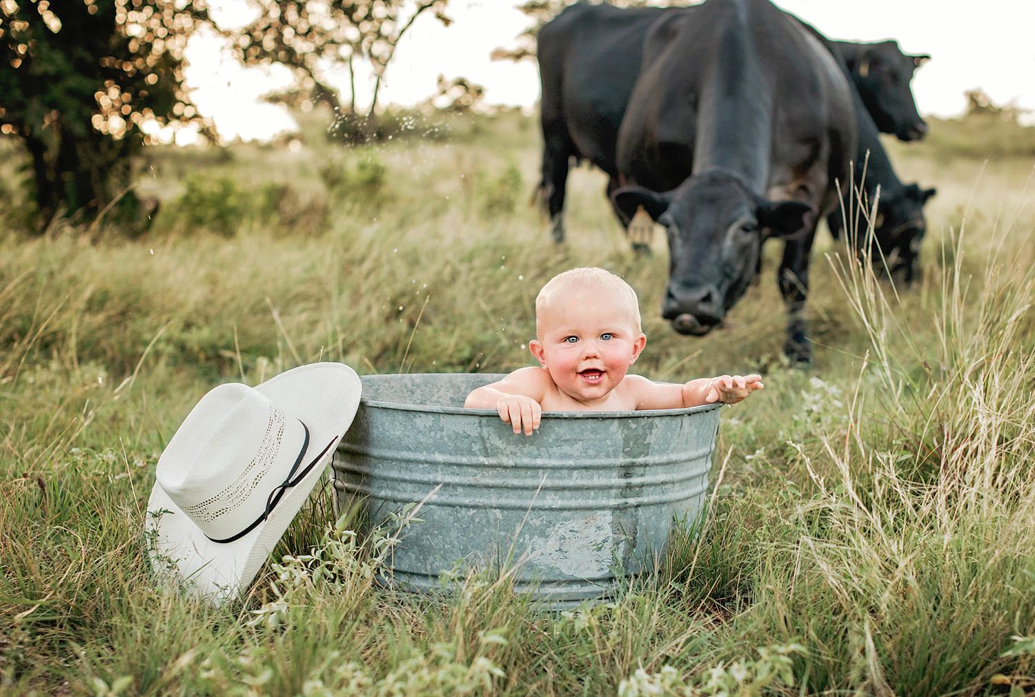 A happy baby sits in a galvanized metal tub outdoors while a curious black cow grazes nearby in tall grass.