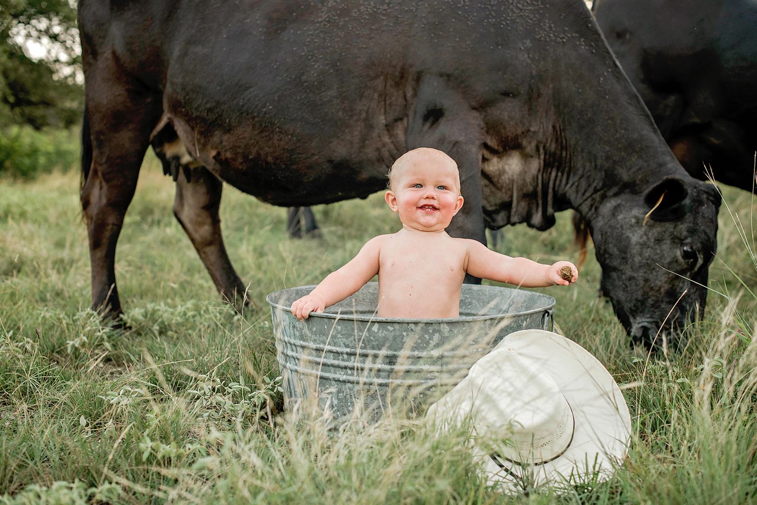 Small child sits in galvanized metal tub outdoors while large brown cow grazes nearby in green pasture.