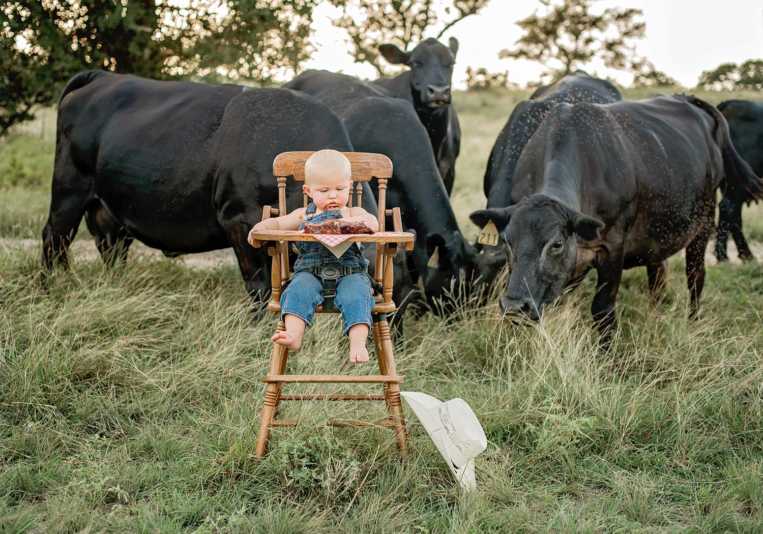 Child in wooden high chair sits in grassy field with black cows grazing in background.