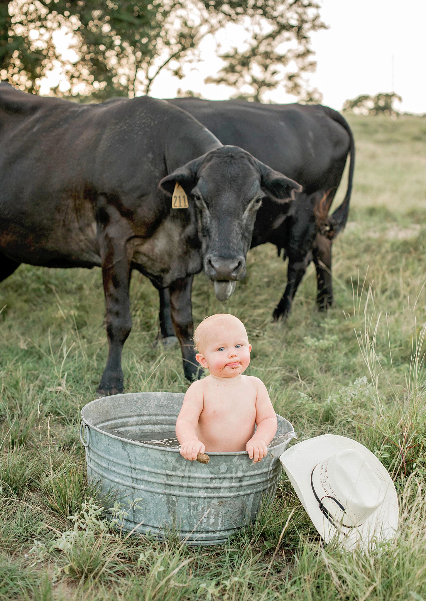 A curious cow peeks at a small child bathing in a metal washtub outdoors with a cowboy hat nearby.