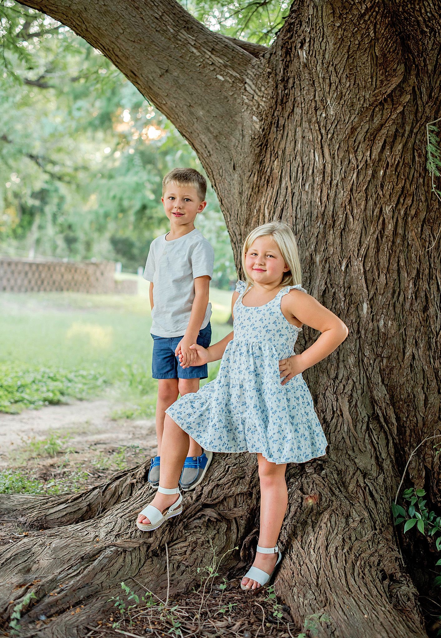Children playing and posing around a large tree trunk in a park setting during a summer photo session.