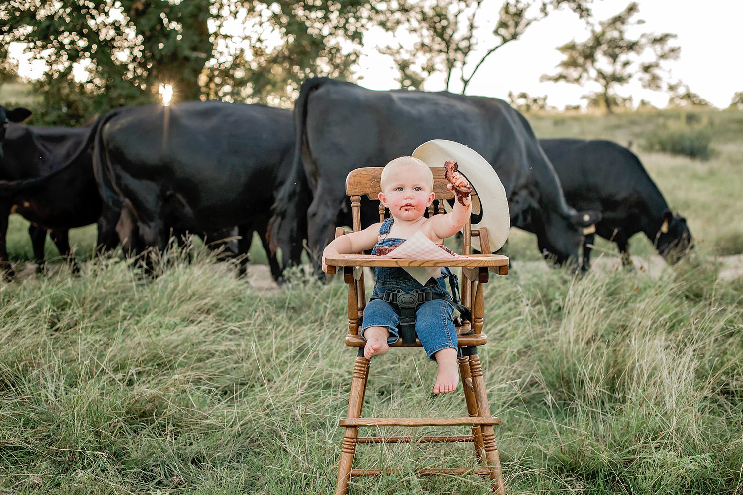 A smiling baby in overalls sits in a wooden high chair outdoors with black Angus cattle grazing in a green field.