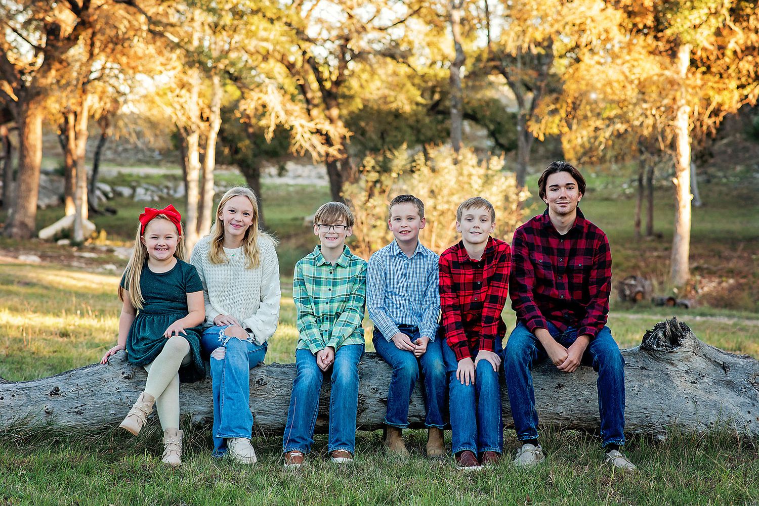 Six children sitting on a fallen log outdoors, smiling during a golden hour family portrait in a park.