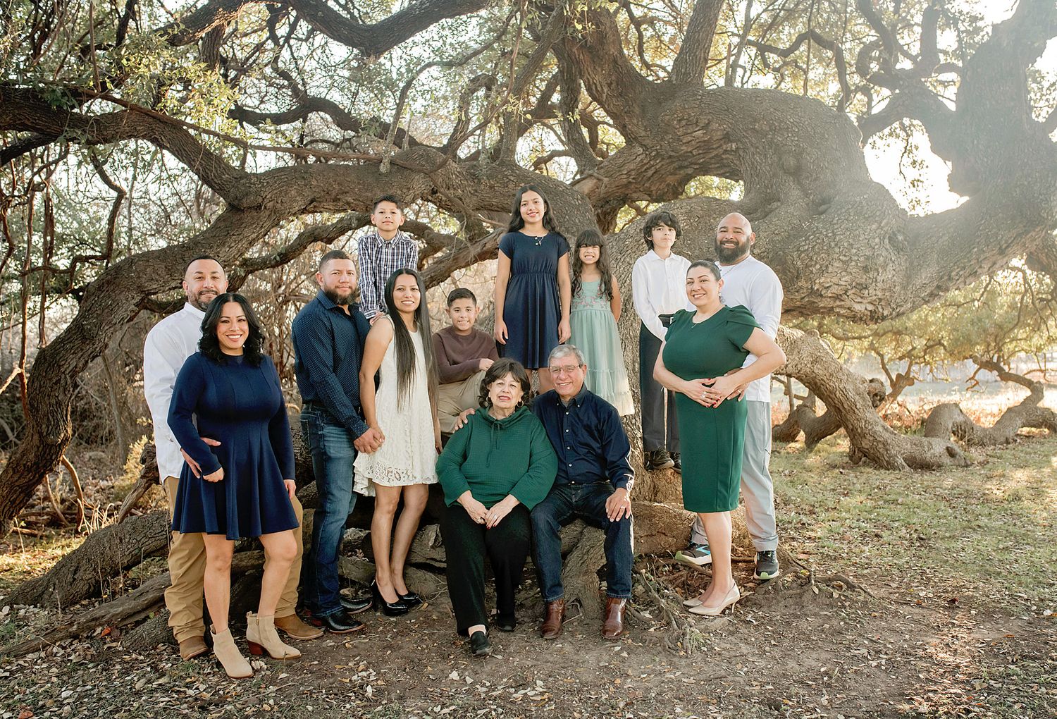 Large family of eleven posing together under a sprawling oak tree outdoors.