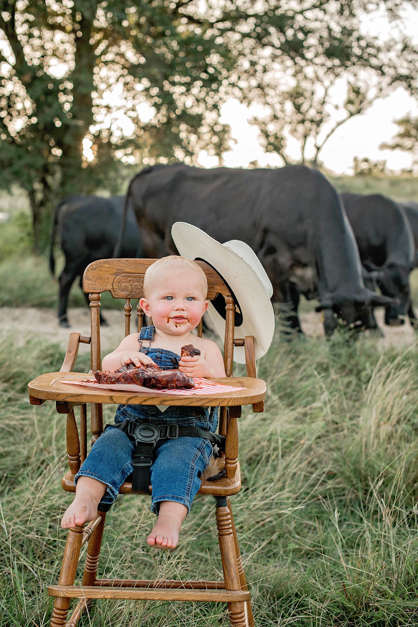 A baby eating ribs in a wooden chair in a grassy field with cattle grazing in the background at sunset.