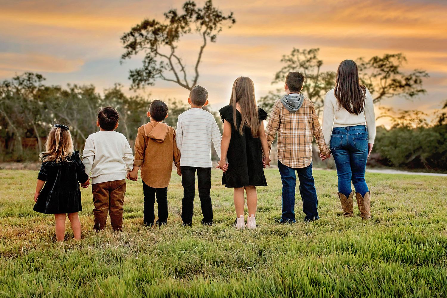 Seven children stand hand-in-hand in a grassy field at sunset, viewed from behind in a heartwarming outdoor portrait.
