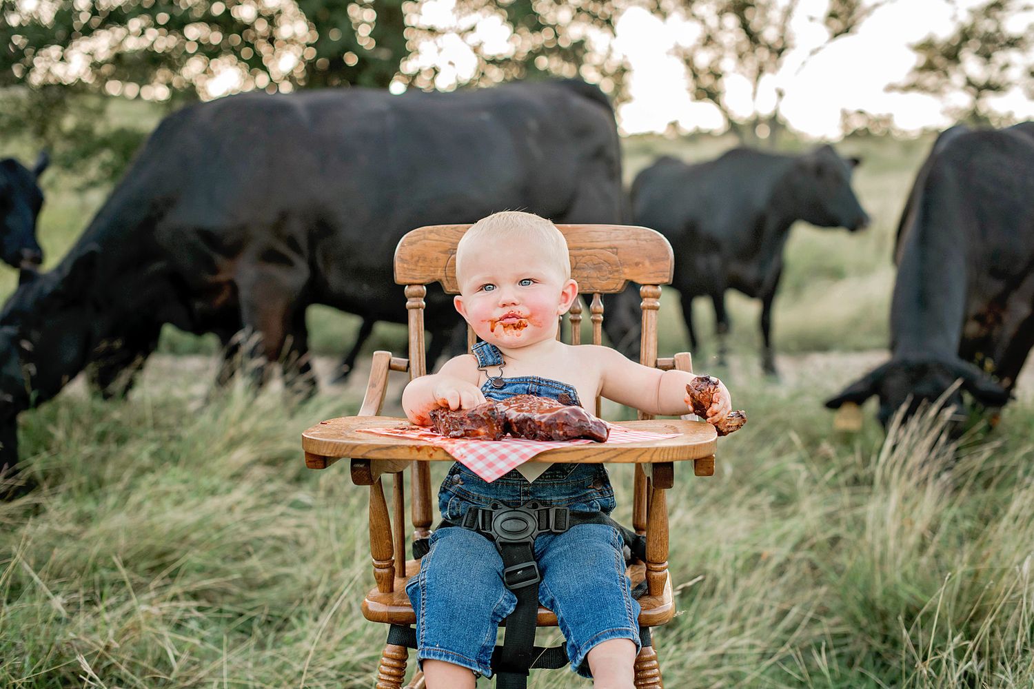 A set of photos showing a small child in a wooden chair eating bbq ribs with cattle grazing in a rural field background.