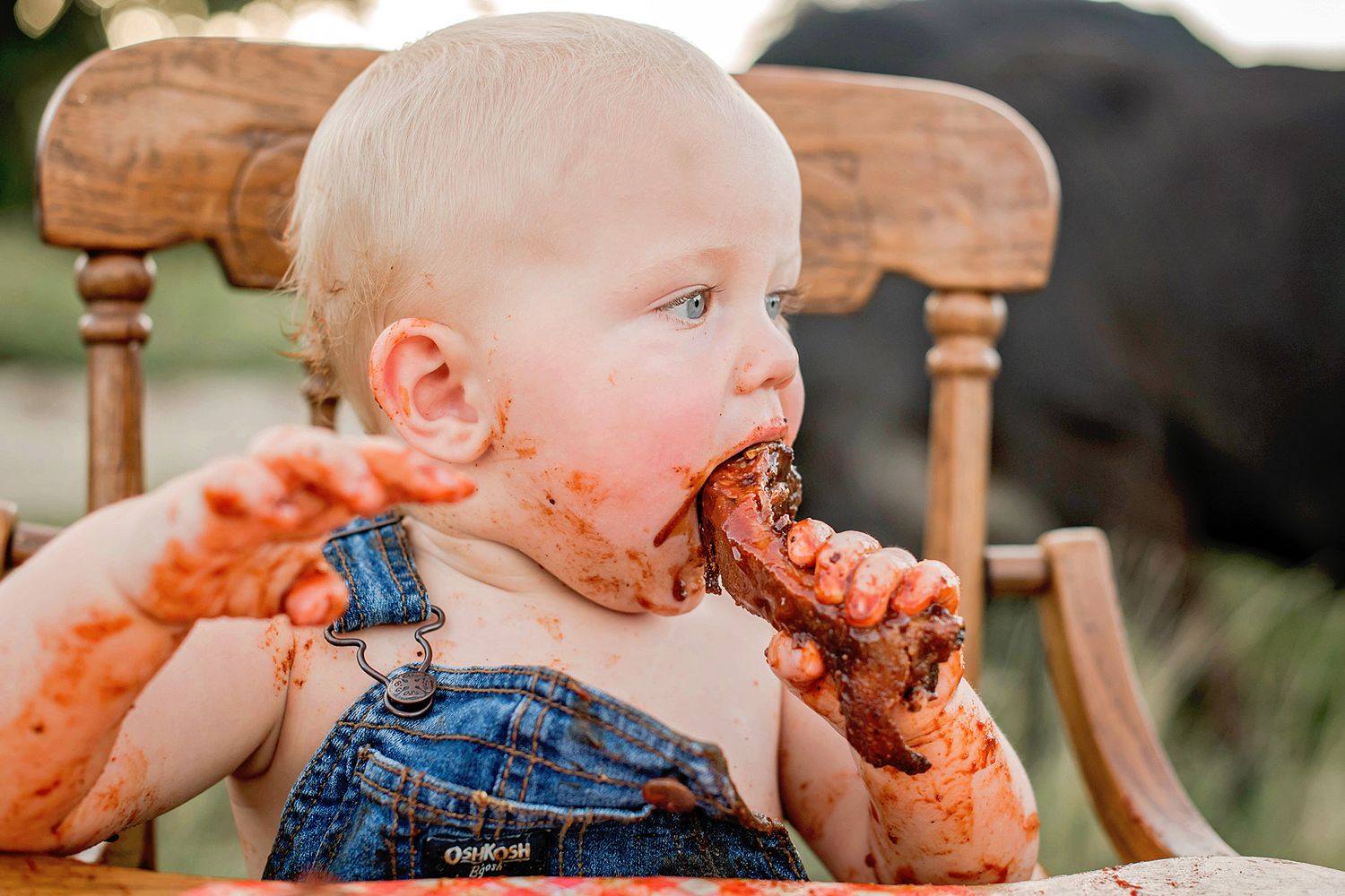 A messy toddler in denim overalls enthusiastically eats bbq ribs and sauce with their hands while sitting in a wooden chair.