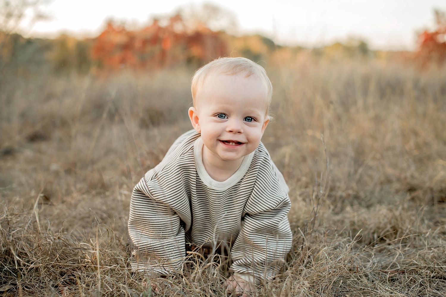 A baby wearing a gray sweater sits and smiles in a rustic autumn field with dried grass and warm lighting.