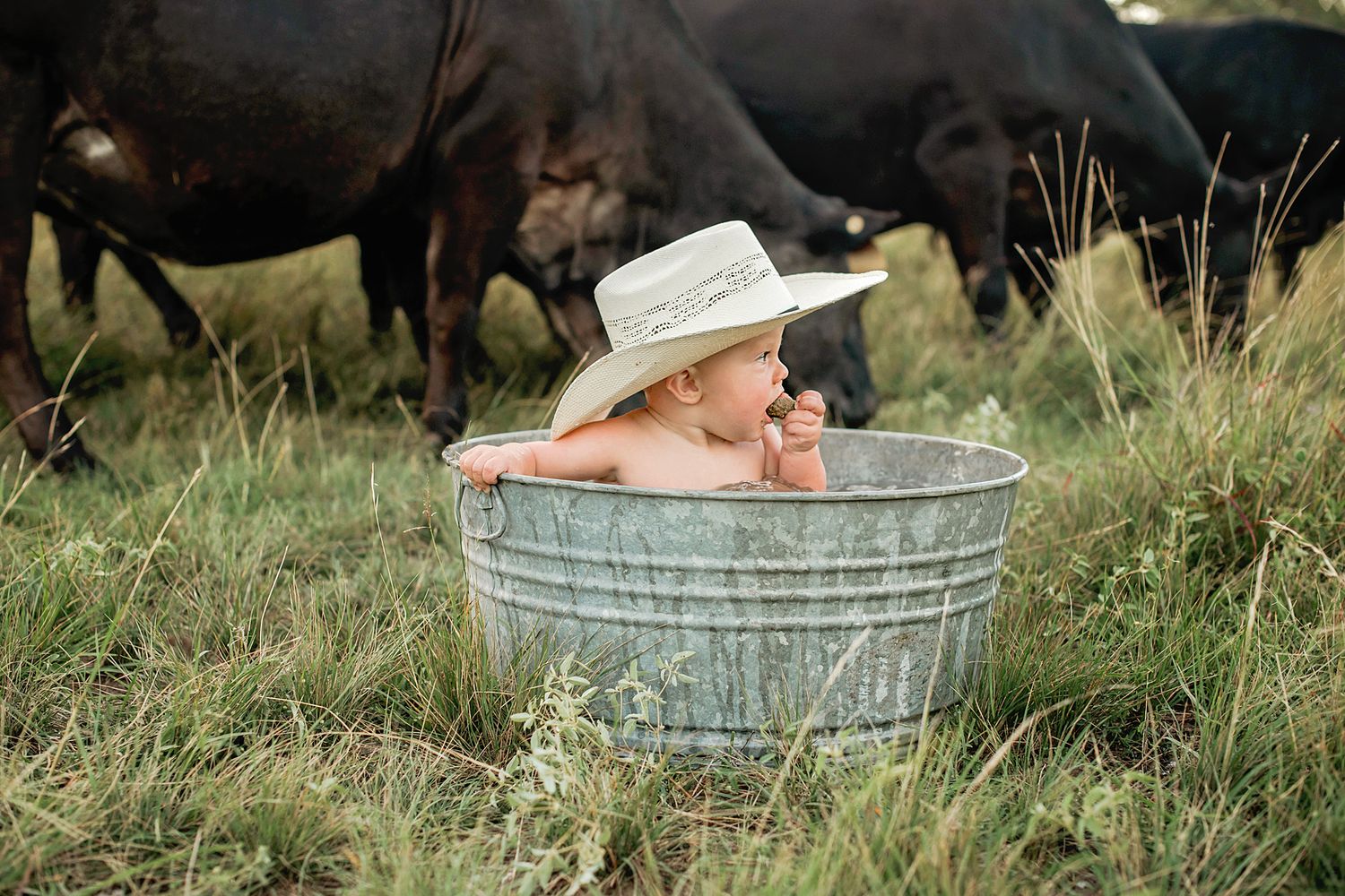 A baby wearing a cowboy hat sits in a metal wash tub outdoors with cattle grazing in the background.