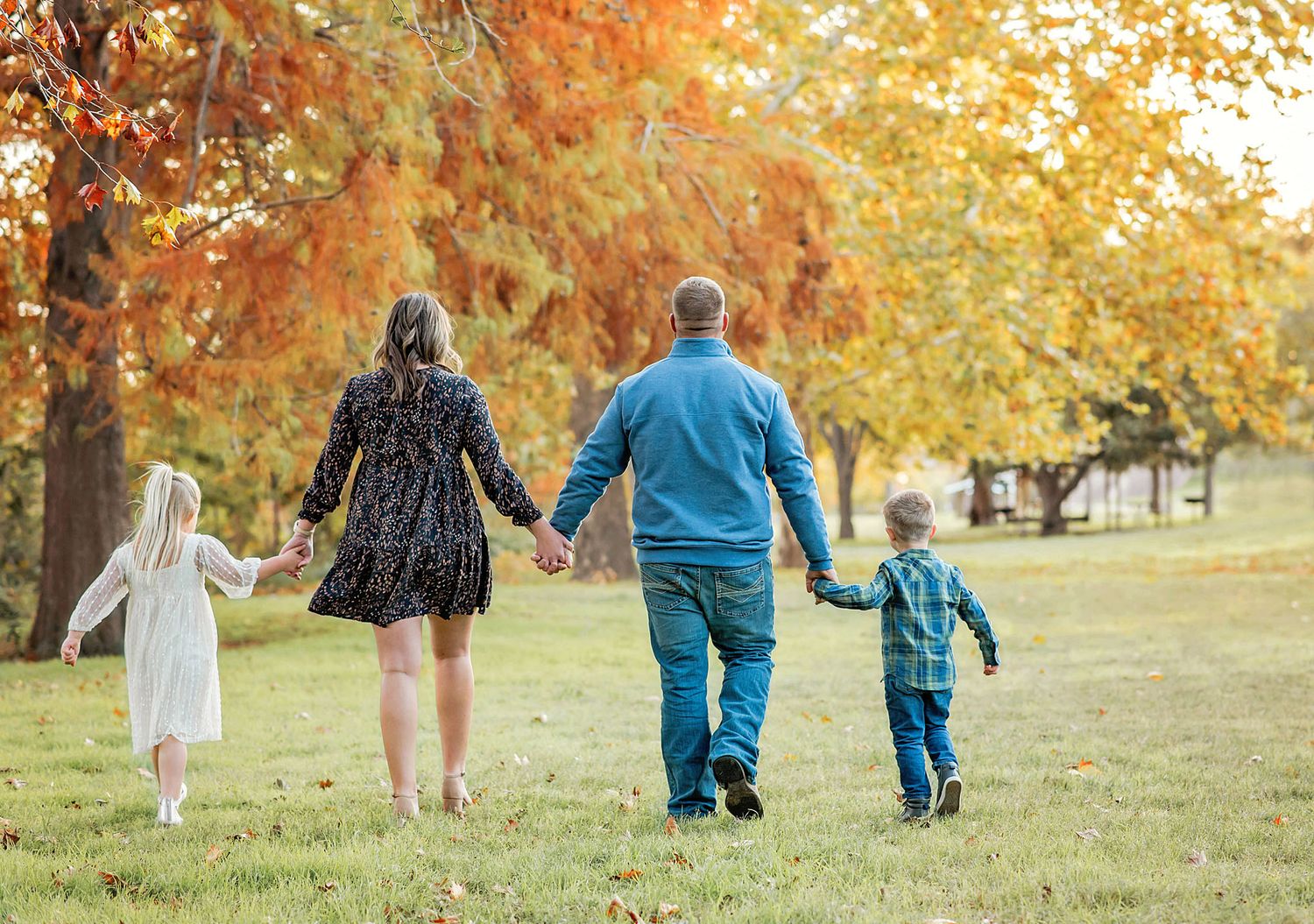 A group of people walk up a grassy hill surrounded by autumn trees with golden leaves in the late afternoon light.