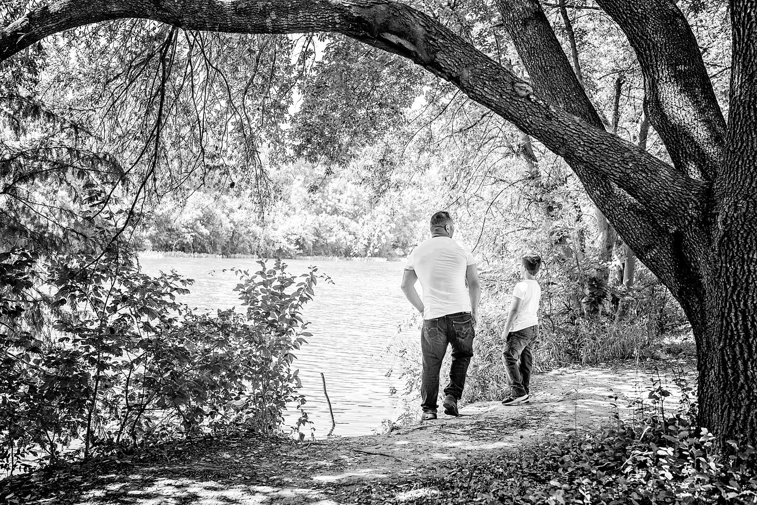 A black and white photo series of people walking along a tree-lined path in a park setting.