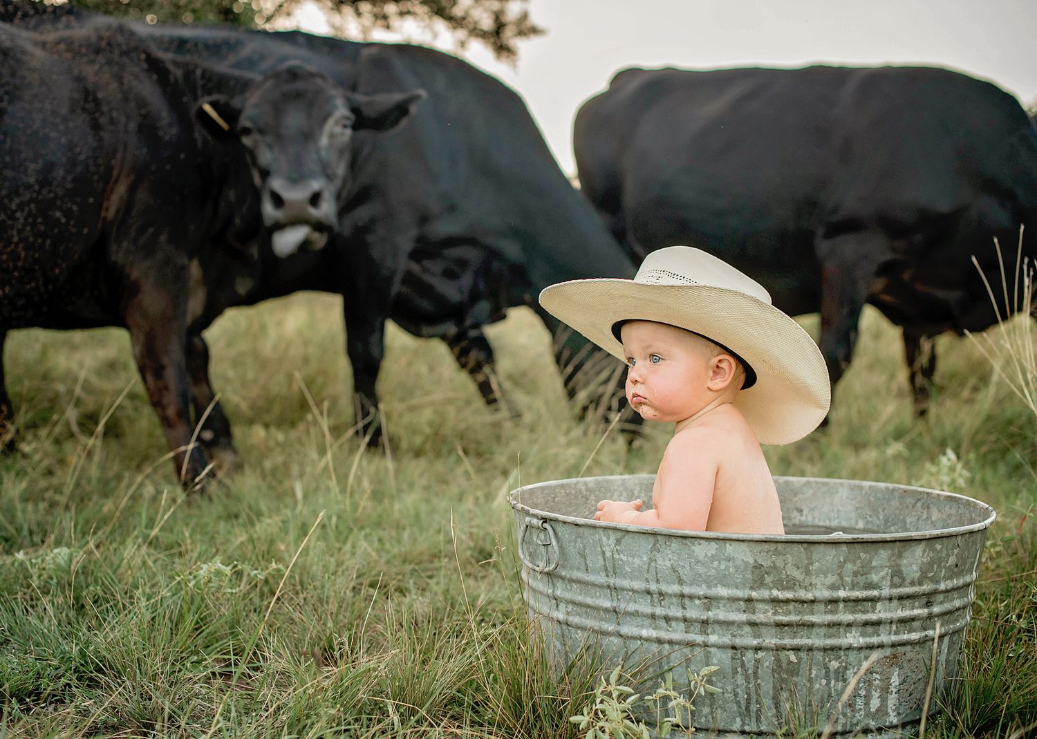 A rustic collage of western themed photos showing livestock, a watering tub, cowboy hat, and cattle in a pastoral setting.