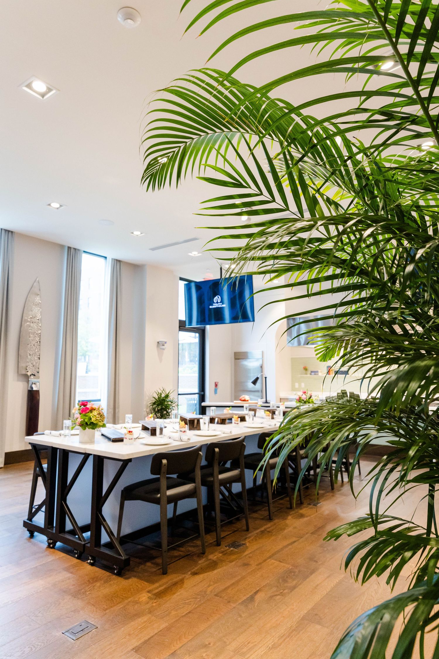 Modern dining area with palm plants, wooden floors, and white walls in an open-concept space.