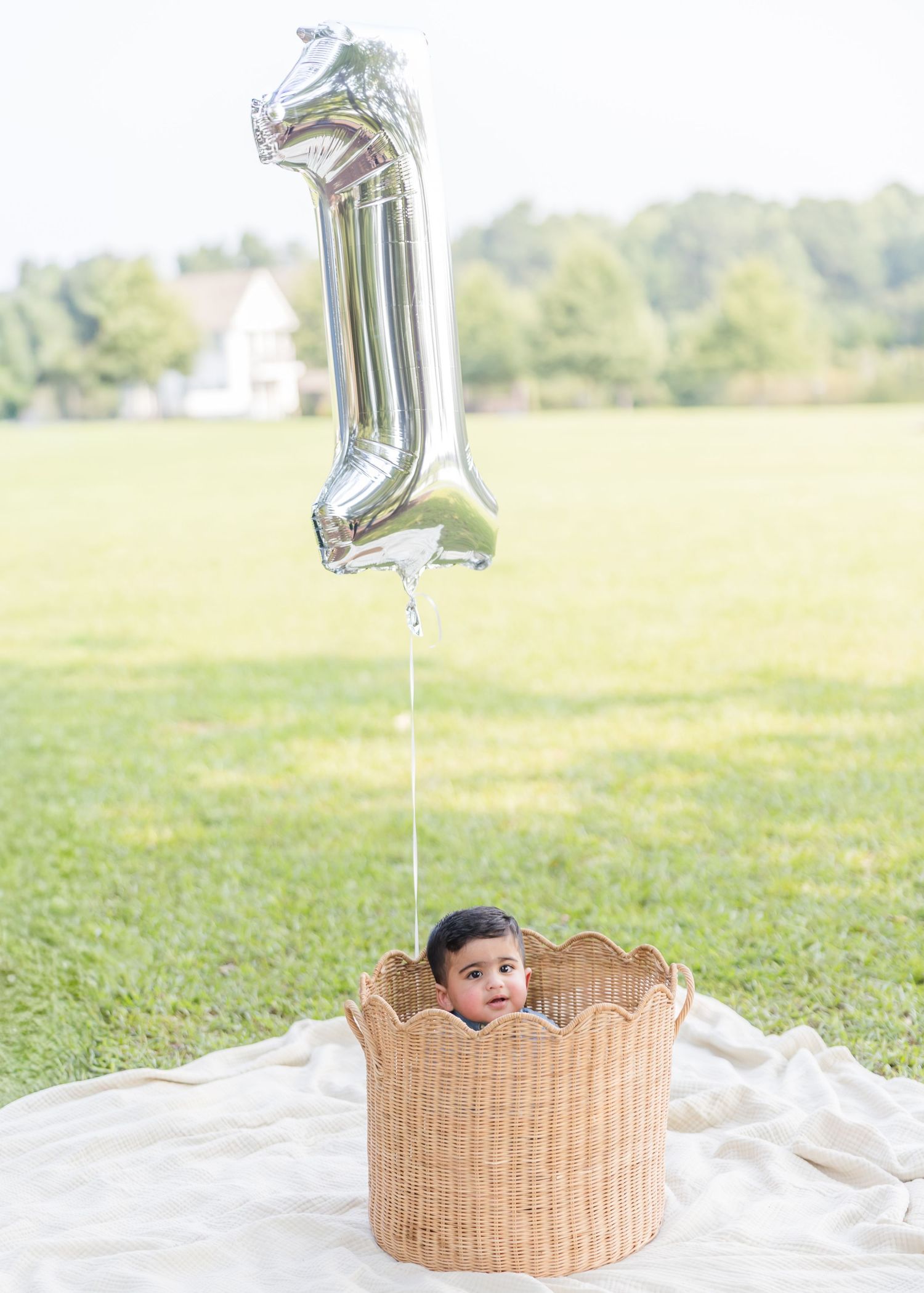 Baby in wicker basket holding silver number 1 balloon on white blanket in green field for first birthday photo.