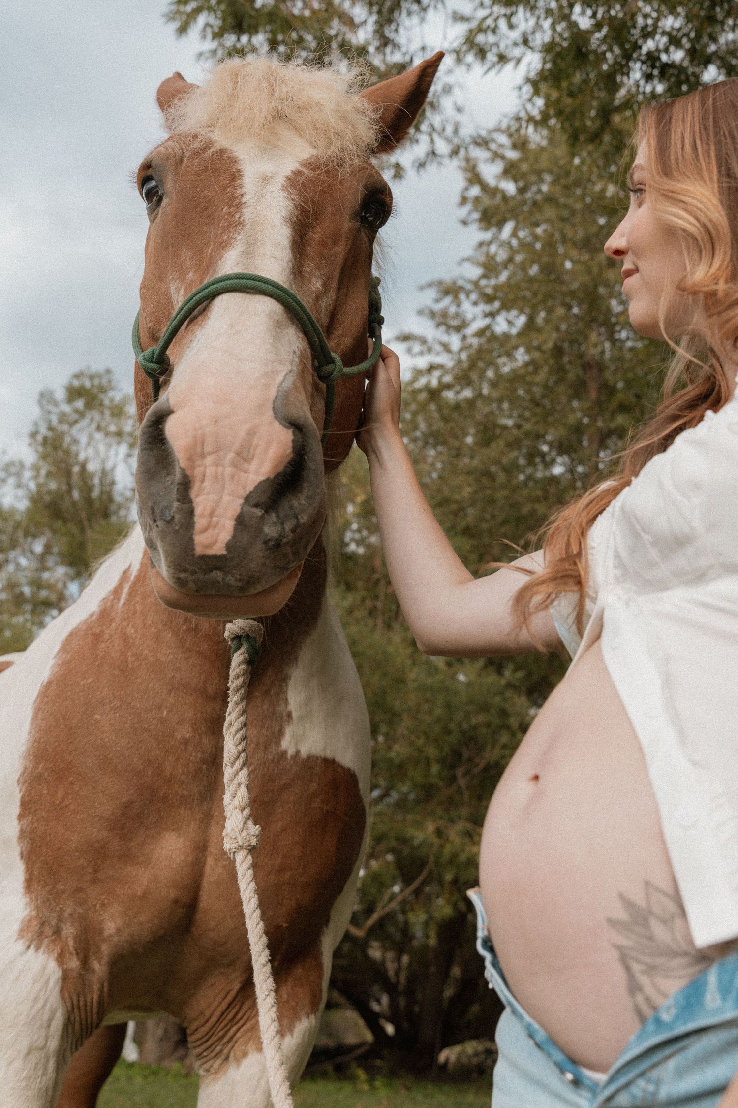 Pregnant woman in white shirt petting a brown and white paint horse outdoors with trees in background.