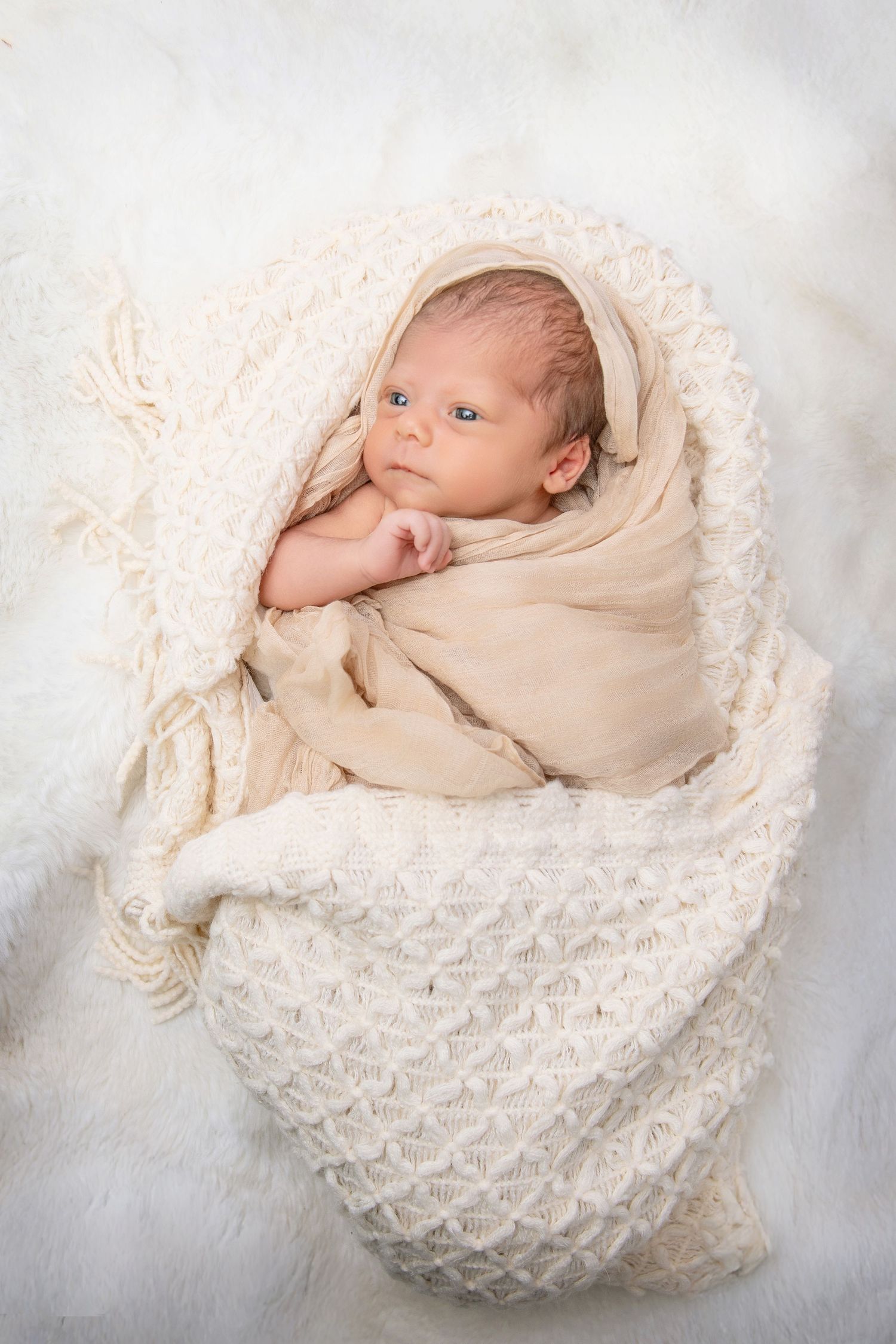 Newborn baby wrapped in cream blanket on white textured backdrop.