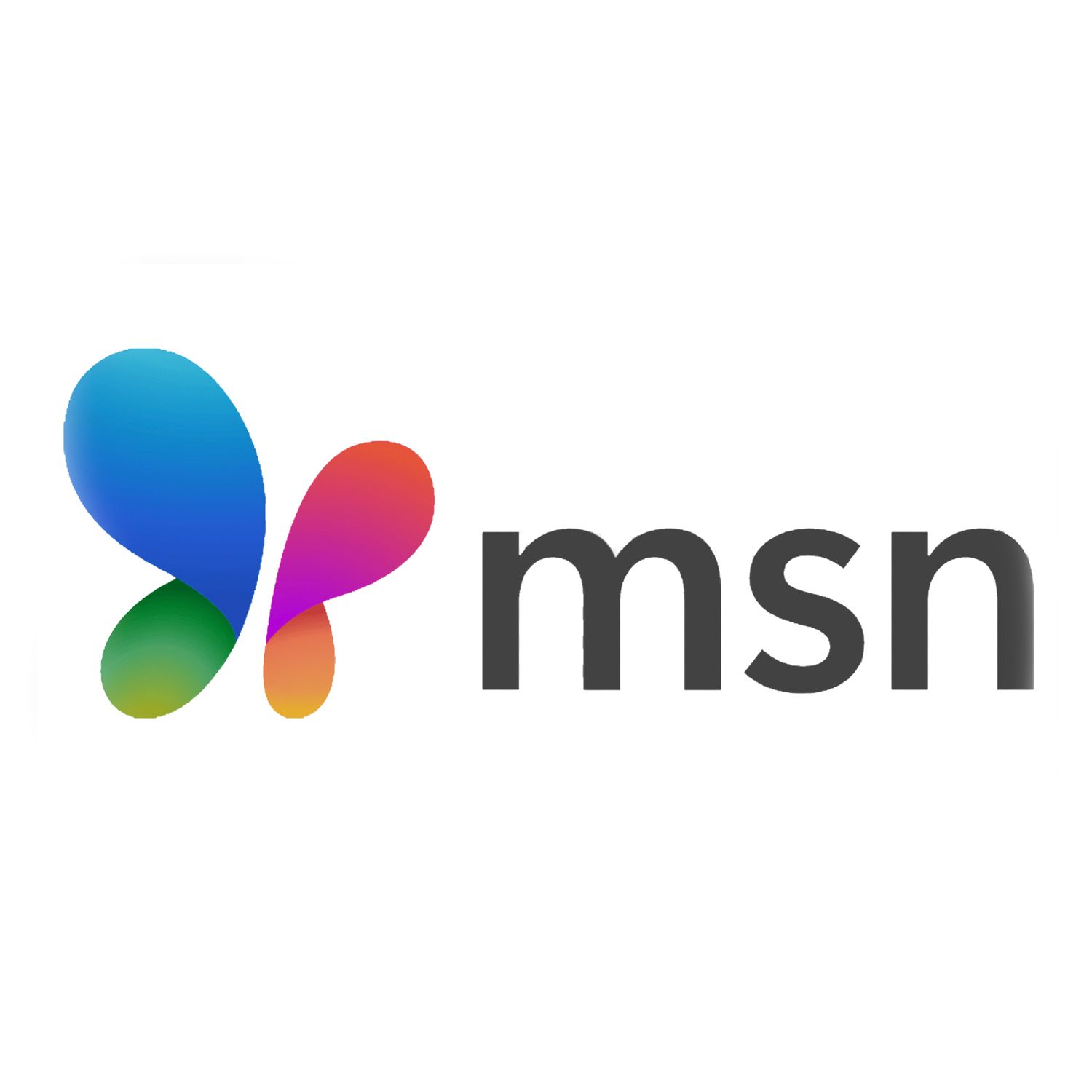 MSN logo featuring colorful butterfly design and black text.