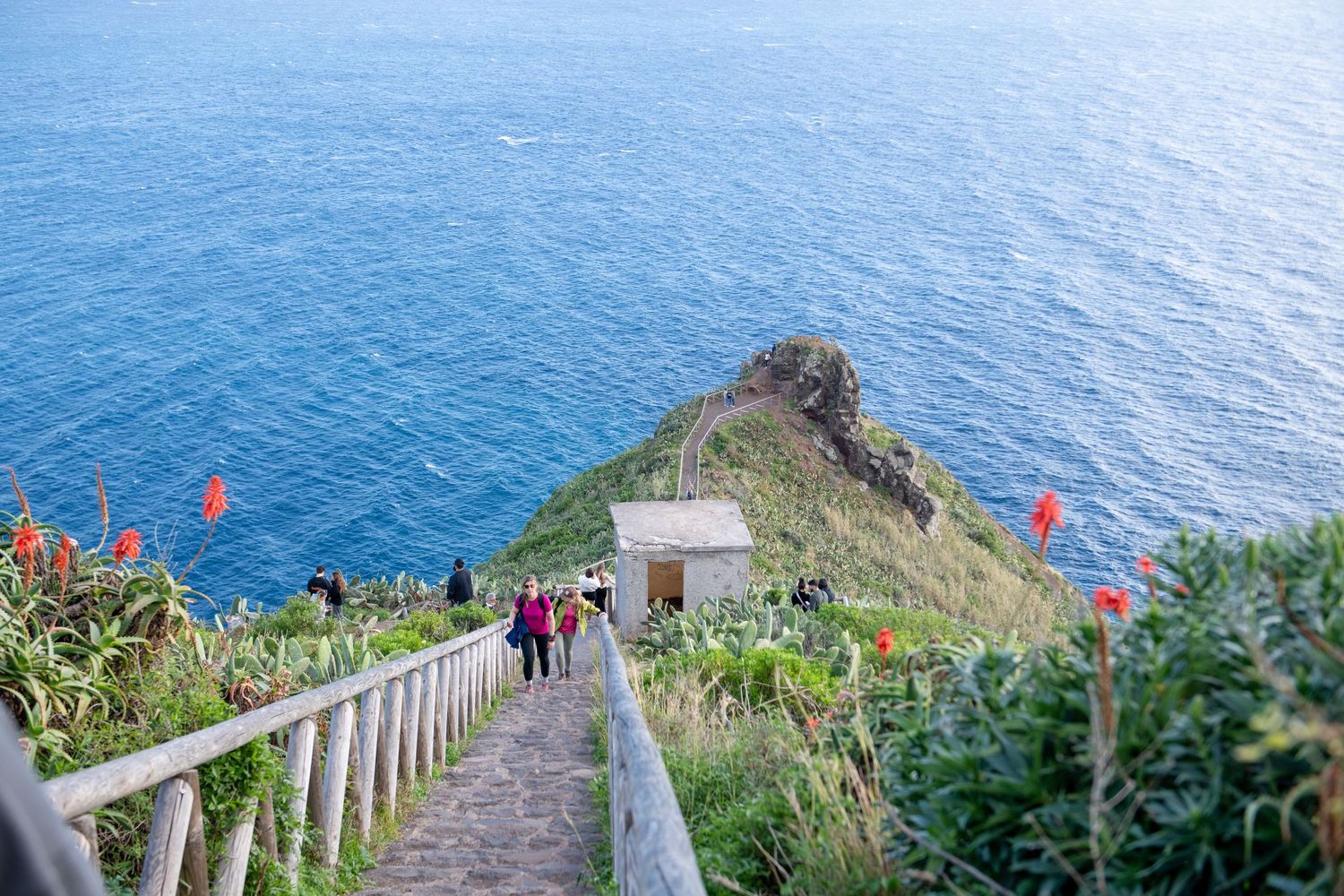 Steep stairway descending to ocean viewpoint with white railings and red flowers along path.