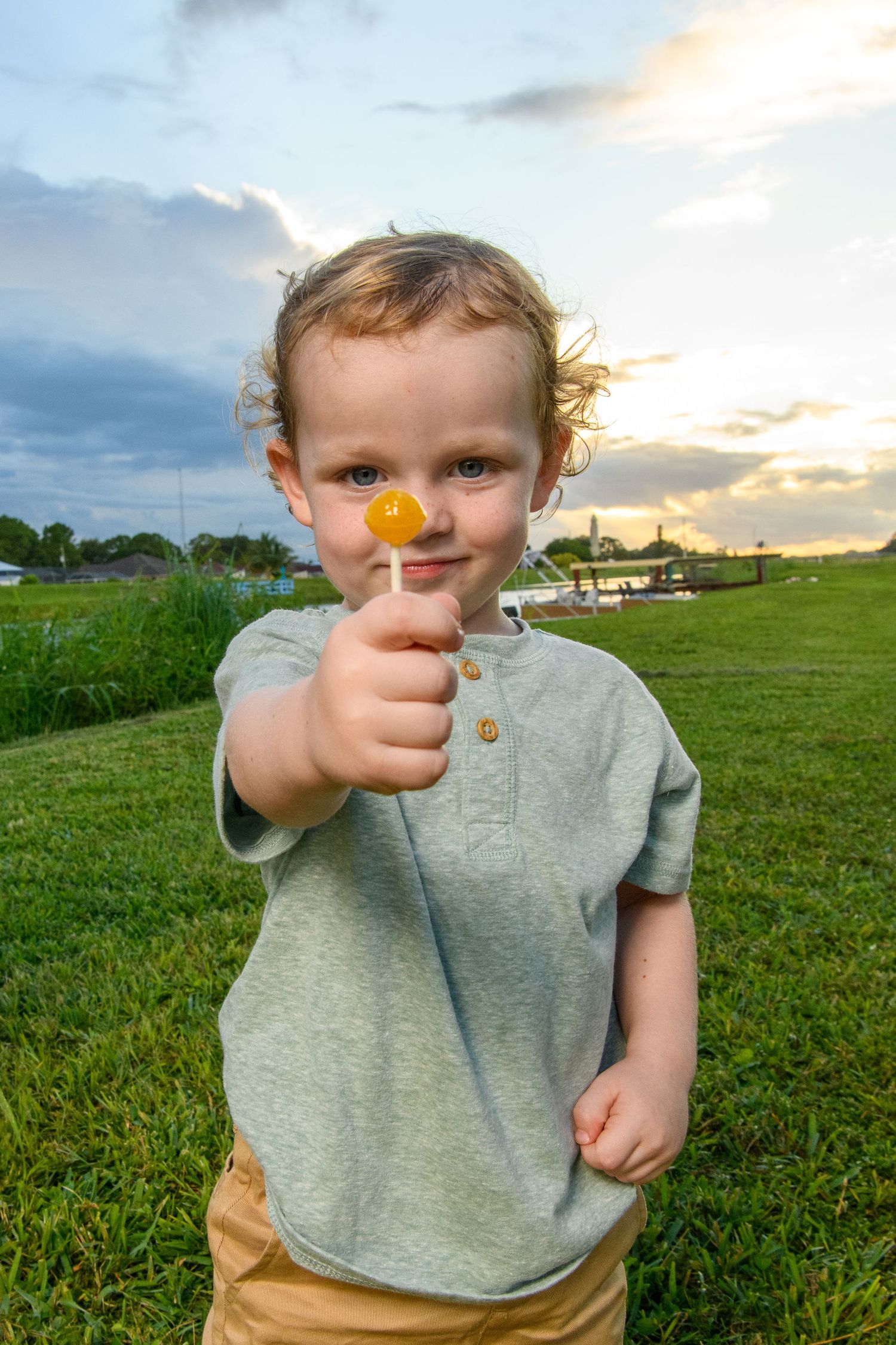 Small child in gray shirt holding up a yellow flower against sunset sky.