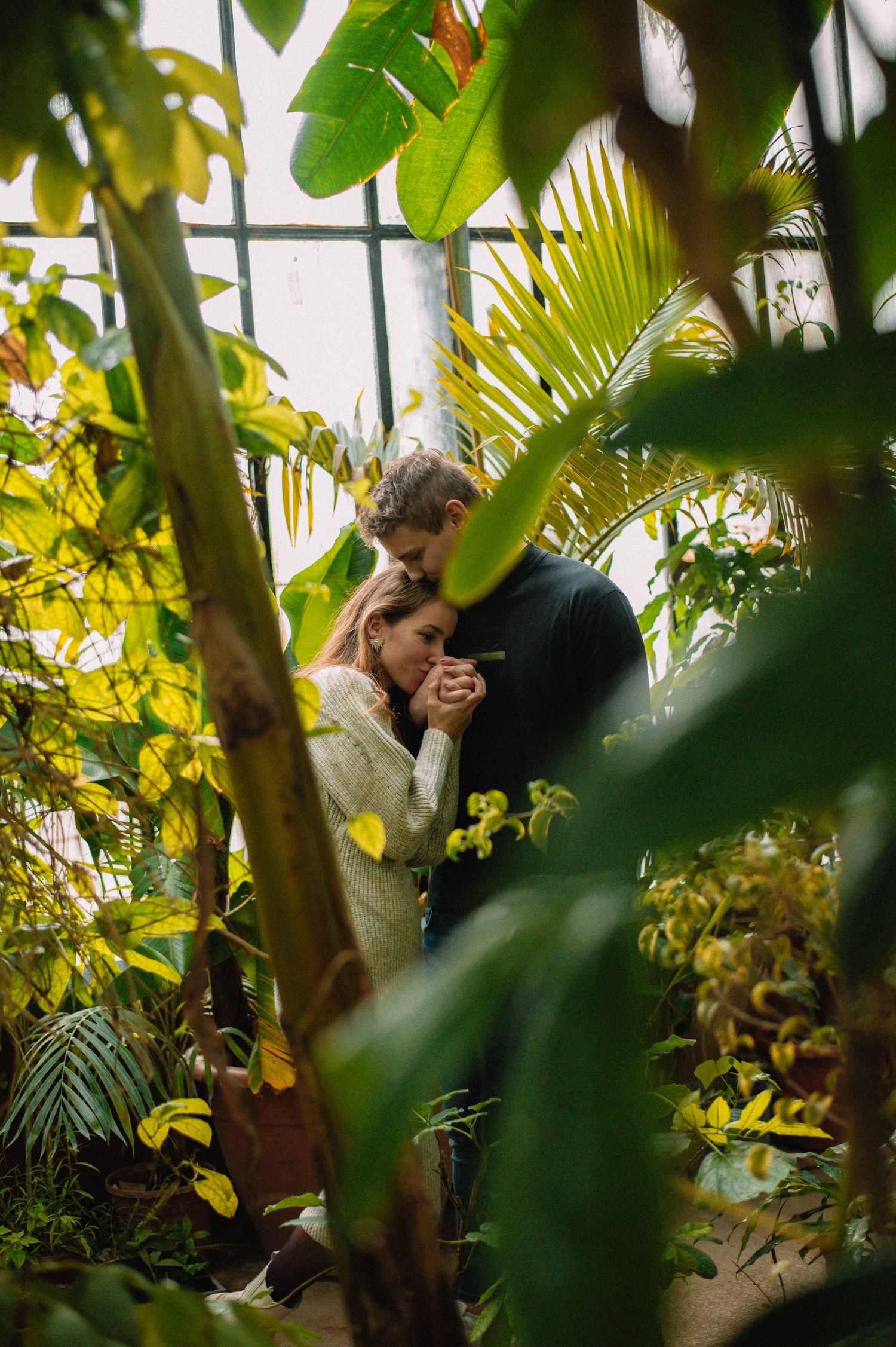 Romantic couple embracing tenderly among lush tropical greenhouse plants in golden natural light.